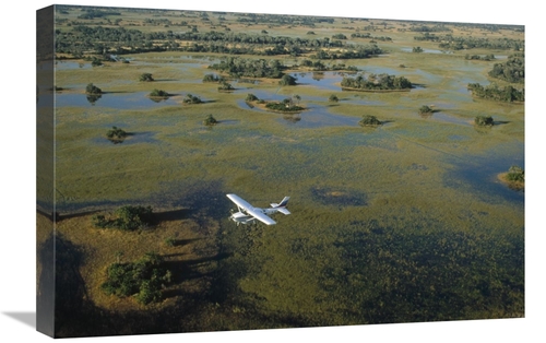 Global Gallery GCS-452365-1624-142 16 x 24 in. Flight Safari, Okav