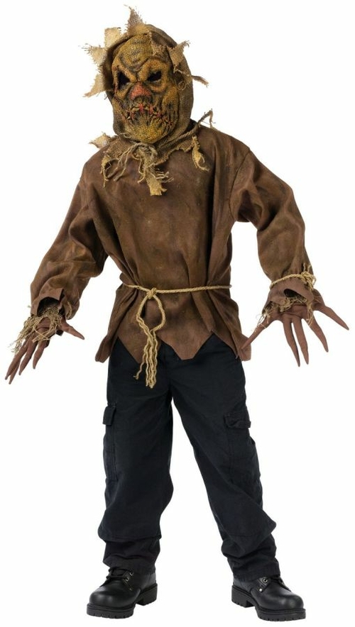 Costumes For All Occasions FW130132LG Scarecrow Child 12-14