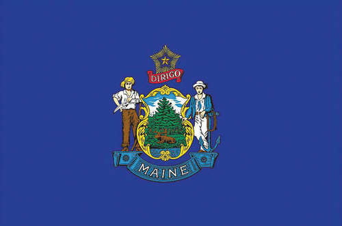 Valley Forge 8009840 Maine Flag, 36 x 60 in.