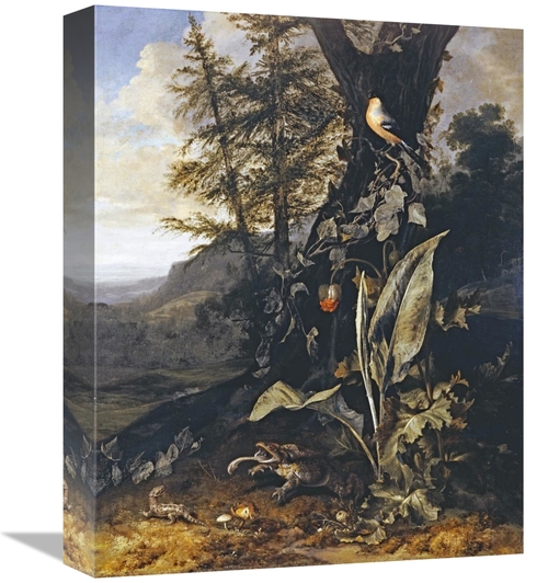 Global Gallery GCS-267578-16-142 16 in. Forest Floor with a Toad & a L