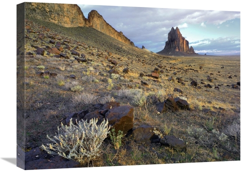 Global Gallery GCS-396514-1824-142 18 x 24 in. Shiprock, the Basal