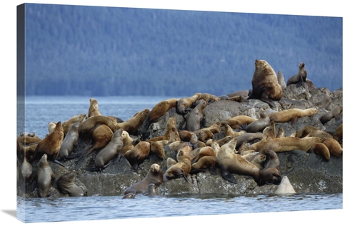 Global Gallery GCS-452543-2436-142 24 x 36 in. Stellers Seas Group Con