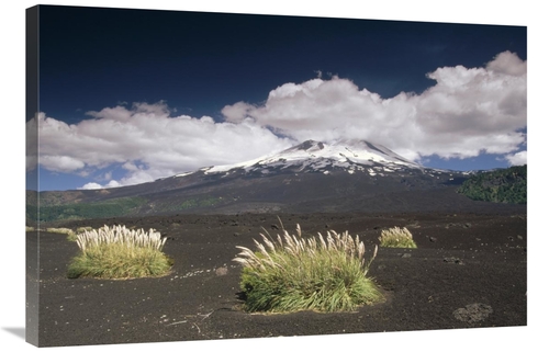 Global Gallery GCS-452899-2436-142 24 x 36 in. Pampas Grass Islands in