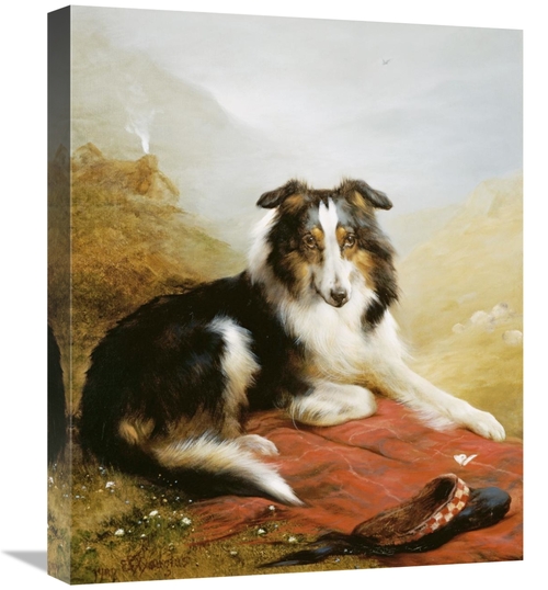 Global Gallery GCS-266236-22-142 22 in. A Collie, the Guardian of 