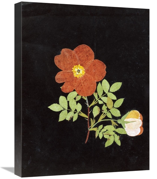 Global Gallery GCS-268338-22-142 22 in. Cut Out Watercolour of a Flowe