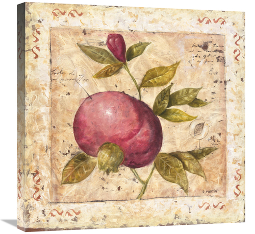 Global Gallery GCS-112916-2424-142 24 x 24 in. A Pomegranate Page Art 