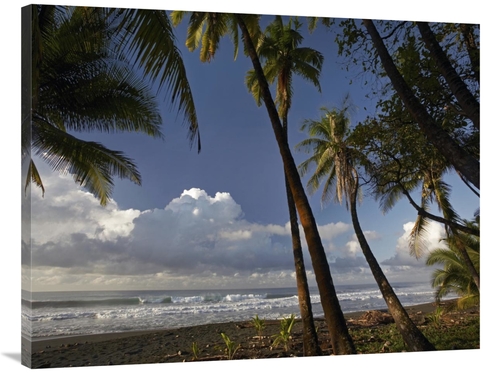 Global Gallery GCS-396768-3040-142 30 x 40 in. Palm Trees on the Beach