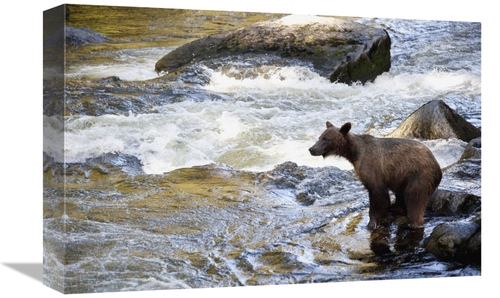 Global Gallery GCS-395464-1218-142 12 x 18 in. Grizzly Bear Fishing Al