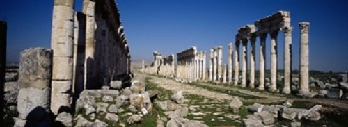 Old ruins on a landscape  Cardo Maximus  Apamea  Syria Poster Print by