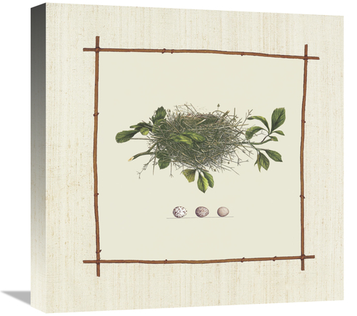 Global Gallery GCS-113498-1818-142 18 x 18 in. What A Nest Art Print -