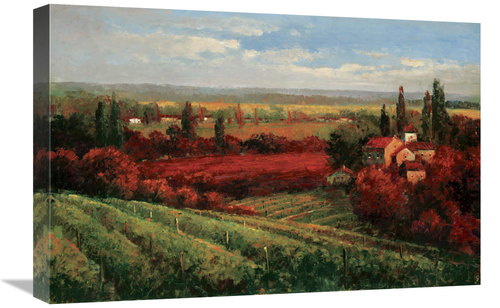 Global Gallery GCS-131029-1624-142 16 x 24 in. Tuscan Fields of Red Ar