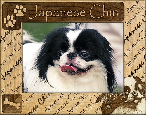 Giftworks Plus DBA0103 Japanese Chin- Alder Wood Frame- 4 x 6 In