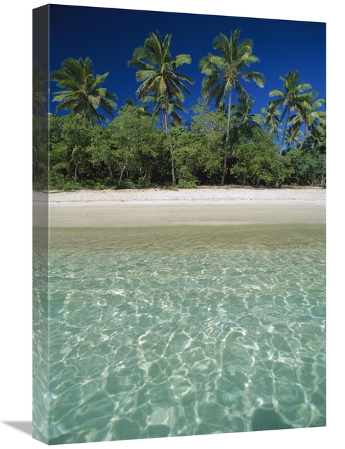Global Gallery GCS-397514-1624-142 16 x 24 in. Tropical Scene with Pal