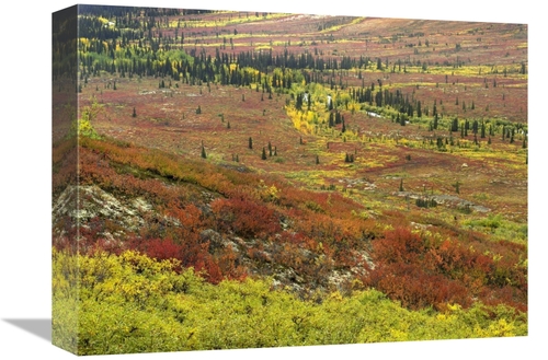 Global Gallery GCS-397060-1216-142 12 x 16 in. Autumn Tundra with Bore