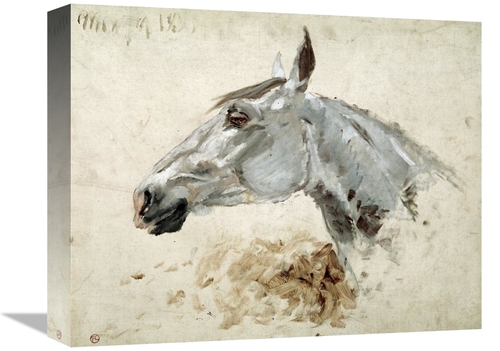 Global Gallery GCS-278192-16-142 16 in. Testo Di Cavallo Art Print - H