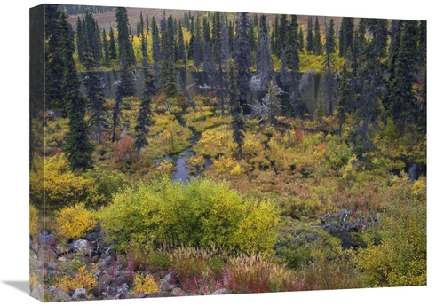 Global Gallery GCS-397036-1824-142 18 x 24 in. Beaver Pond Amid Boreal