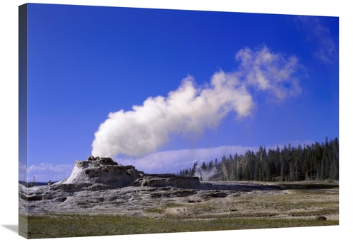 Global Gallery GCS-396283-2432-142 24 x 32 in. Castle Geyser, Yell