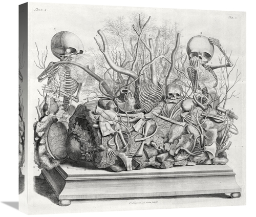 Global Gallery GCS-454964-22-142 22 in. Diorama of Fetal Skeletons Arr