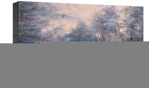 Global Gallery GCS-393932-1218-142 12 x 18 in. Winter Sunlight Art Pri