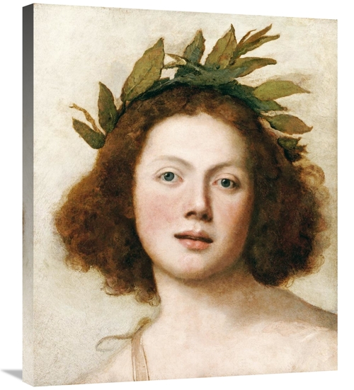 Global Gallery GCS-266328-30-142 30 in. Head of Apollo Art Print - Gir