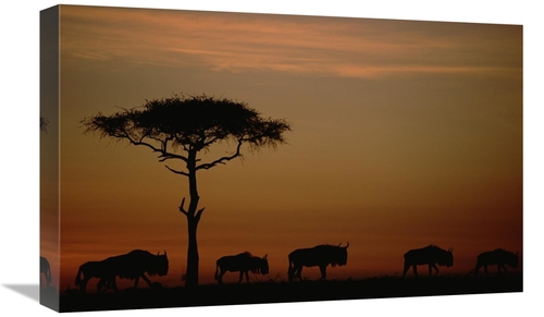 Global Gallery GCS-396264-22-142 22 in. Blue Wildebeest Herd Migrating