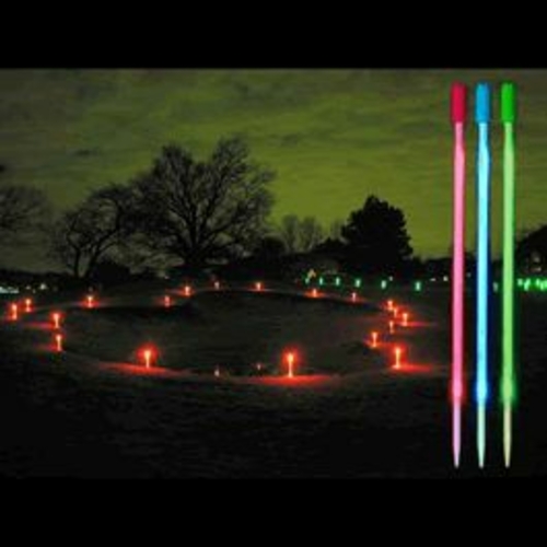 Blinkee 1598000 1 Dozen 12 in. Blue LED Runway Markers