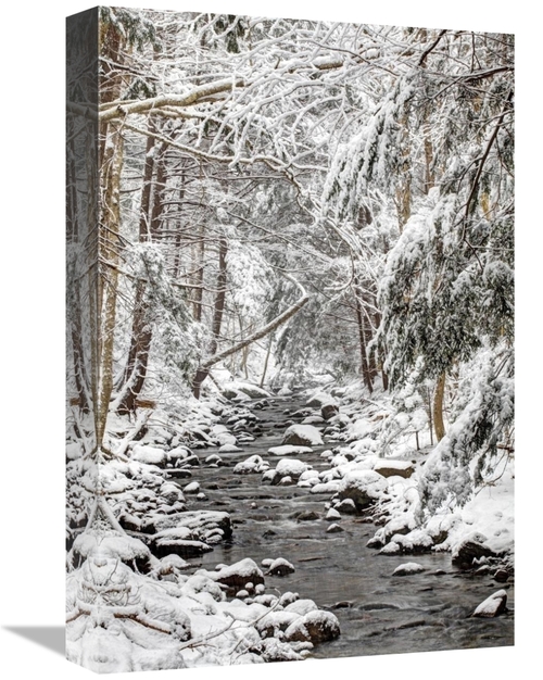 Global Gallery GCS-397598-1218-142 12 x 18 in. Stream in Winter, N