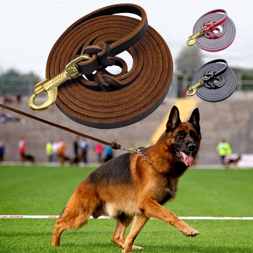 German shepherd leather sales leash