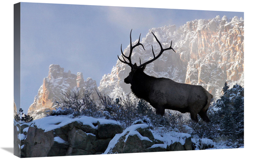 Global Gallery GCS-486488-30-142 30 in. King of the Mountain Art Print