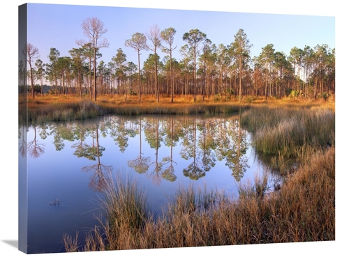 Global Gallery GCS-396637-2432-142 24 x 32 in. Pines Reflected in Pond