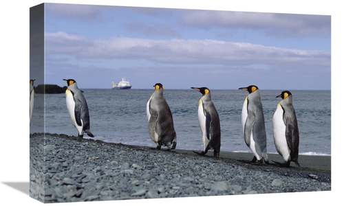Global Gallery GCS-452450-1218-142 12 x 18 in. King Penguin Group on R