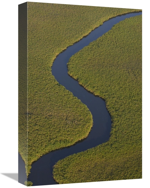 Global Gallery GCS-397906-1218-142 12 x 18 in. Papyrus Swamps & Channe