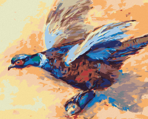 Paint by Numbers - COLOURFUL PHEASANT