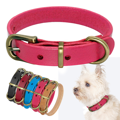 Plain Leather Dog Collar For Small Medium Dogs