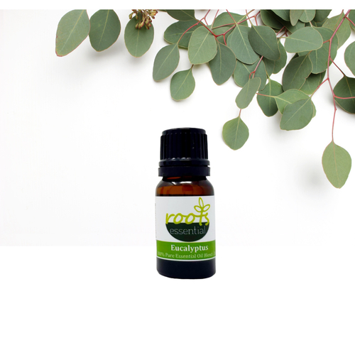 Eucalyptus Essential Oil 10ml