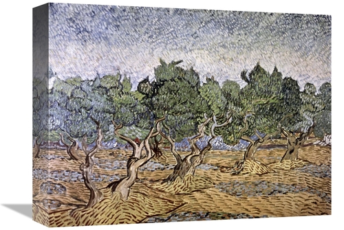 Global Gallery GCS-281283-16-142 16 in. Olive Orchard, Violet Soil