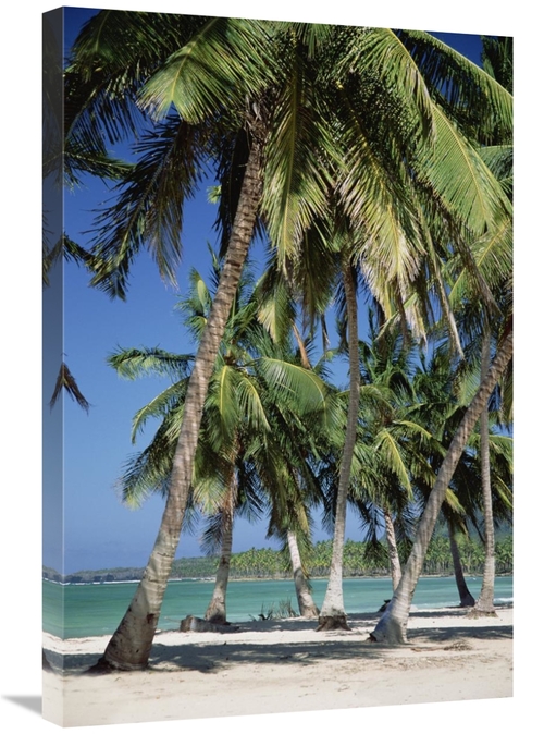 Global Gallery GCS-452417-2030-142 20 x 30 in. Coconut Palm Trees & Be