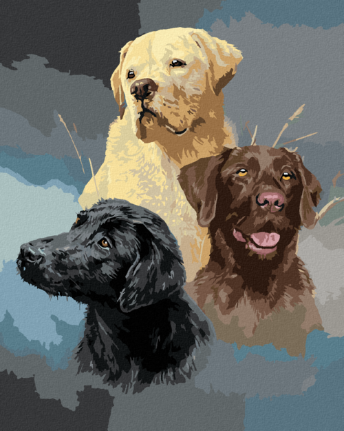 Zuty - Paint by Numbers - GOLDEN, BROWN AND BLACK LABRADOR (JAMES