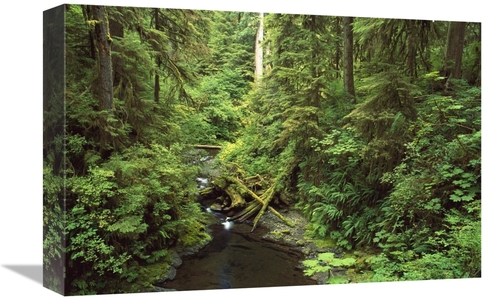 Global Gallery GCS-452841-1218-142 12 x 18 in. Wilaby Creek, Olymp