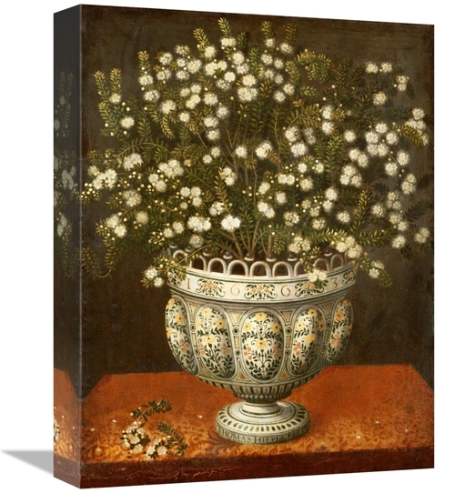 Global Gallery GCS-266539-16-142 16 in. Myrtle in a Vase on a Draped L