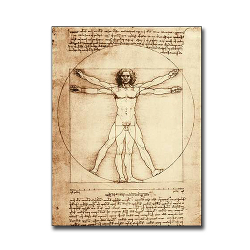 Artistic Home Gallery 1216F709SAG Vitruvian Man by Leonardo Da Vinci P