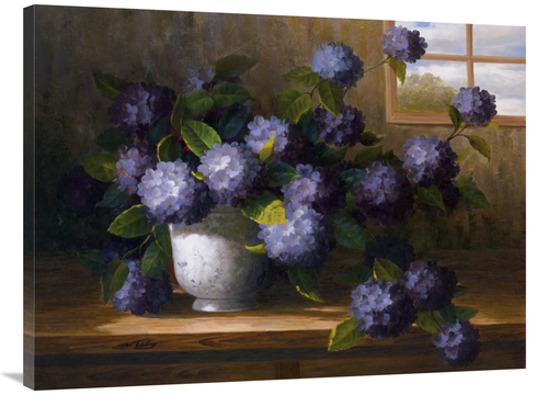 Global Gallery GCS-119544-3040-142 30 x 40 in. Hydrangea Blossoms II A