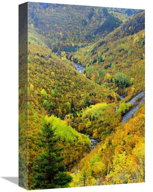 Global Gallery GCS-397610-1218-142 12 x 18 in. Mackenzie River Valley&