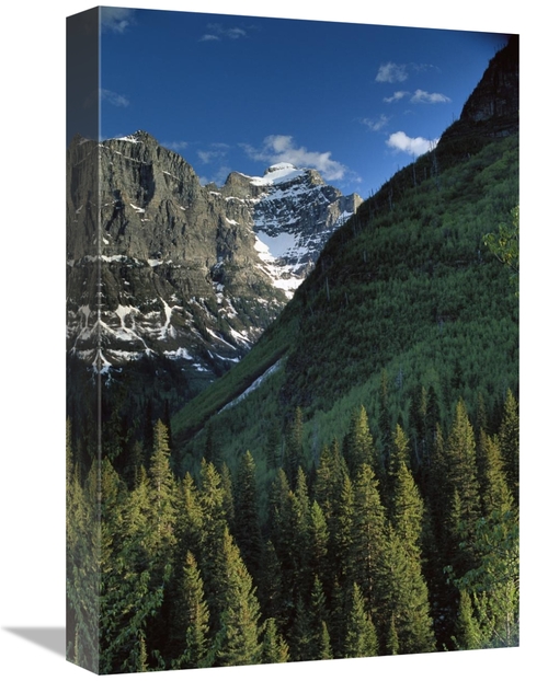 Global Gallery GCS-451970-1218-142 12 x 18 in. Rocky Mountains Covered