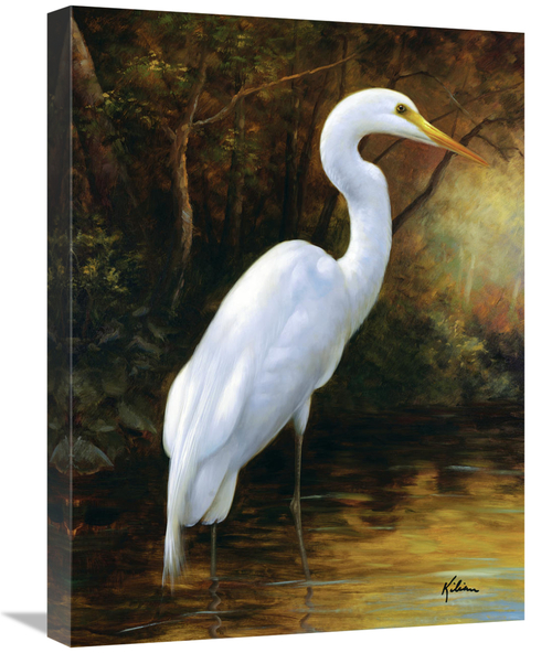 Global Gallery GCS-132467-1824-142 18 x 24 in. Evening Egret Art Print
