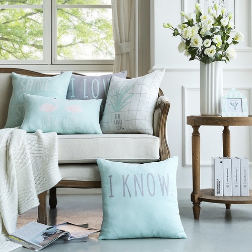 Main Home 1 Piece Mint Color Pillow Cushion Soft image