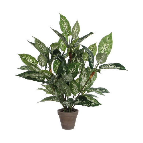 Decorative Plant Mica Decorations Dieffenbachia Dieffenbachia Green