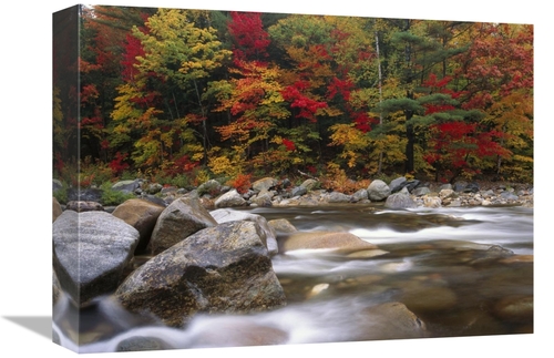 Global Gallery GCS-396923-1216-142 12 x 16 in. Wild River in Eastern H