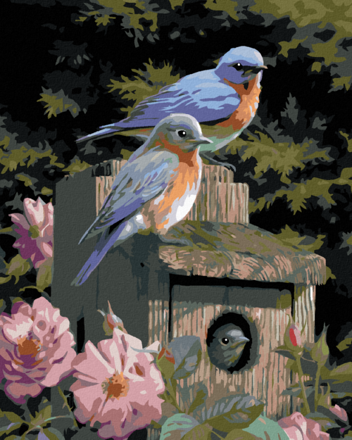 Zuty - Paint by Numbers â€“ BLUEBIRD AND A BIRDHOUSE (JOE HAUTMAN),