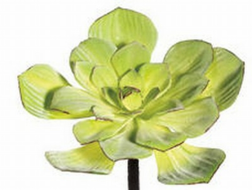 DE9222-MO-GR 7.5 in. Flocked Moss Green Echeveria- Case of 12